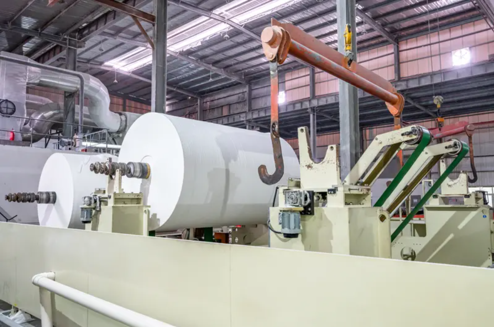 Toilet Paper Jumbo Roll