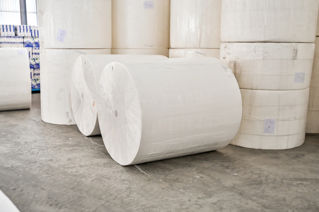 2-Ply High Efficiency Diy Beautiful Napkin Paper Raw Materials