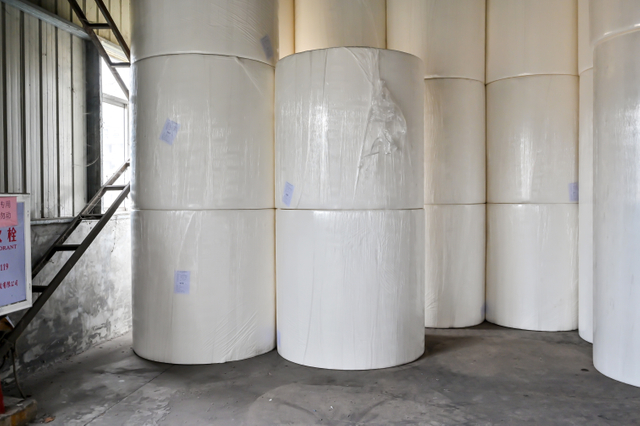 Disposable Tissue Jumbo Roll – Perfect for Hand Towels