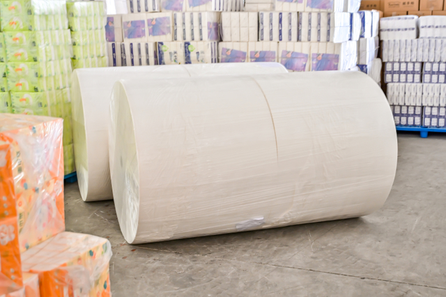 2-Ply Soft Water Disolved Virgin Wood Pulp Jumbo Roll 